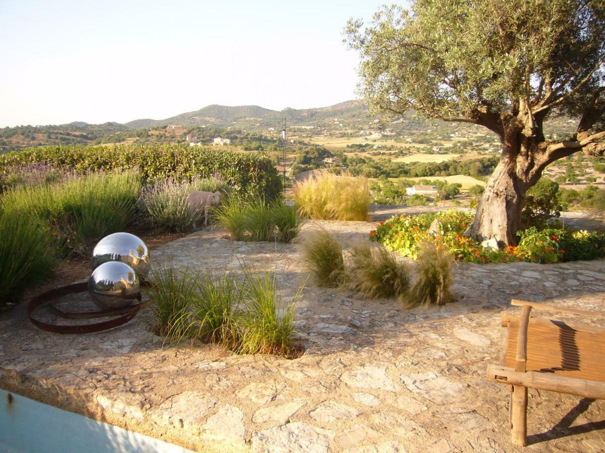 Ferienhaus La Costa Loft Son Macia (Mallorca)